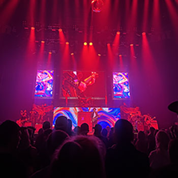 Kid Rock Concert Picture